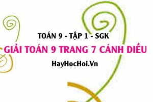 Giải Toán 9 trang 7 tập 1 Cánh Diều SGK